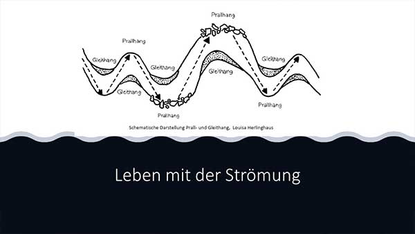 Strömung