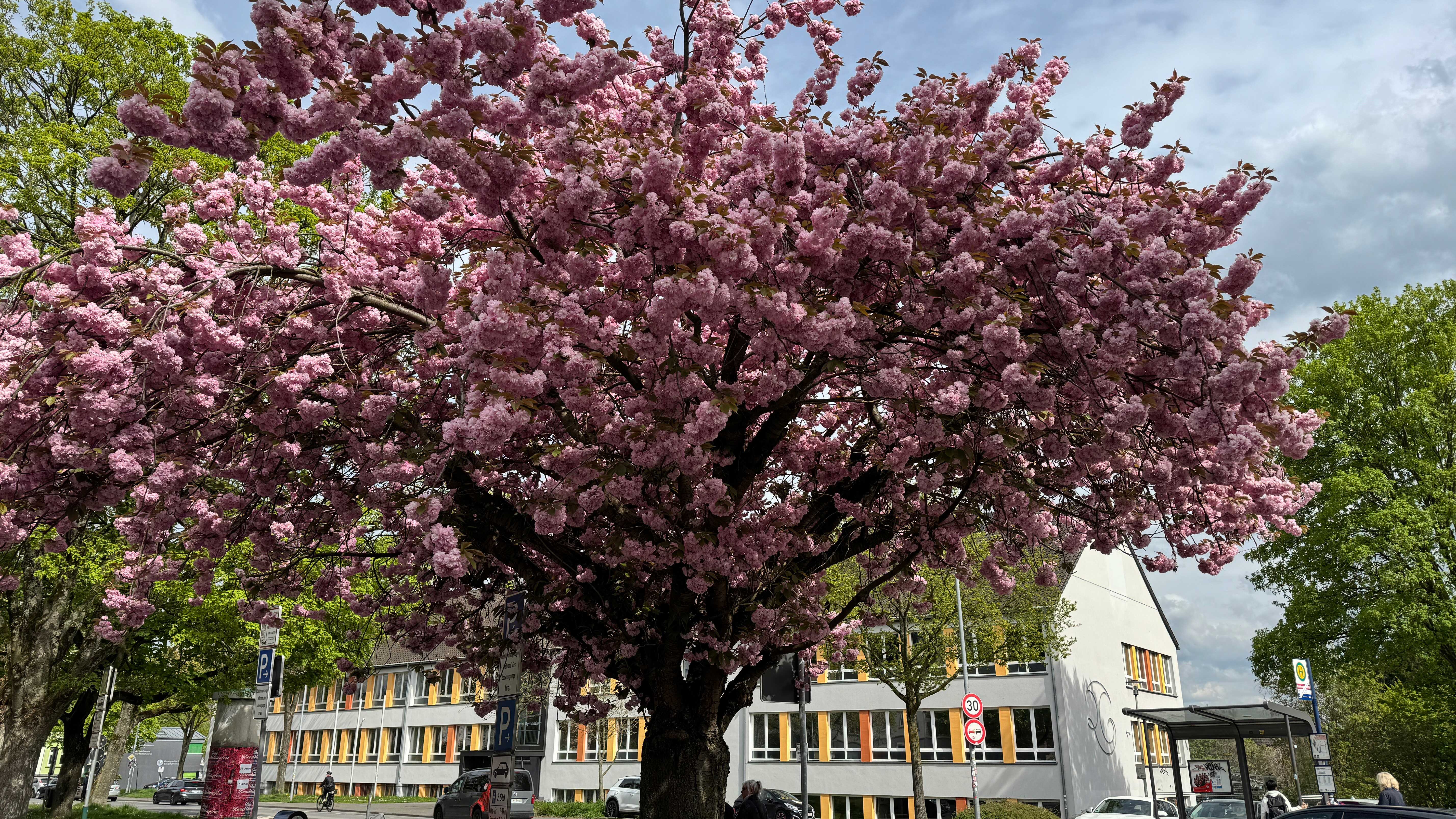 Willkommen